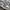 NIKE JORDAN 1 LOW photo 2