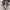 NIKE JORDAN 1 LOW photo 6