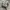 NIKE JORDAN 1 LOW photo 1