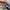 NIKE JORDAN 1 LOW photo 7