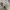 NIKE JORDAN 1 LOW photo 4