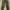 Doublefocus cargo pants photo 4