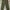 Cargo pants photo 6