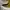 Sepatu Prada Luxury 2EE098 Full Brogue Leather photo 4