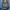 Gramicci Streetwear Gorpcore Vest Pria blue photo 3
