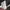 Tractop le coq sportif photo 5