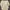 Atasan Bigsize photo 1