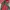 Echoroba Outdoor Jacket  photo 5