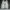 Nike Sacai Vaporwaffle White Sail Gum photo 1
