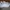 Nike Sacai Vaporwaffle White Sail Gum photo 3