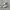 New balance 990v5 x enginereed garments photo 1