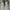 Tommy Hilfiger Casual Casual shoe Pria white gray photo 3