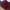 MINIMAL Maroon Midi Dress BNWT photo 1
