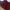 MINIMAL Maroon Midi Dress BNWT