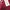 MINIMAL Maroon Midi Dress BNWT photo 3