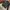 Jaket Kulit Harley Davidson Ride Free Leather Jacket photo 5