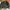 Jaket Kulit Harley Davidson Ride Free Leather Jacket photo 7
