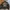 Jaket Kulit Harley Davidson Ride Free Leather Jacket photo 1