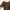 Casual Blouse Wanita brown photo 4