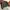 Jaket Kulit Harley Davidson  Leather Destinatio Jacket photo 4