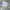 HOODIE I LINE BOXY GREY photo 3