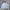 HOODIE HUMMING BOXY GREY photo 1