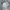 HOODIE HUMMING BOXY GREY photo 2