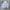 HOODIE HUMMING BOXY GREY photo 4