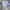 HOODIE HUMMING BOXY GREY photo 3