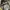 Salomon jacket Gore-tex gorpcore  photo 6