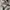 Salomon jacket Gore-tex gorpcore  photo 5