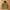 Salomon jacket Gore-tex gorpcore  photo 1