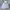 HOODIE BLANK GREY photo 2