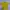 Vintage Y2K Jersey Pria green yellow photo 2