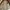 Jaket Kulit Burberry Leather Coat Jacket photo 7