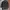 Jaket Kulit Burberry Leather Coat Jacket photo 2