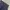 Dickies cargo blck photo 6