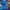 Topi Modern Booth Charlotte Hornets Big Logo photo 1