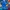 Topi Modern Booth Charlotte Hornets Big Logo