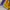 SHORTPANTS LAKERS NBA photo 3