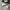 Converse Allstar Hi White photo 1