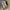 Crop tops anap Prelove,y2k photo 5