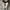 Converse Allstar Hi White photo 4