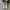 Converse Allstar Hi White photo 5