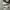 Converse Allstar Hi White photo 1
