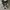 Converse Allstar Hi Black White photo 4