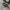 Converse Allstar Hi Black White photo 1