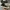 Converse Allstar Hi Black White photo 3