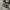 Converse Allstar Hi Black White photo 1