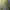 Green / Hijau Linen Pants Stretchy photo 1